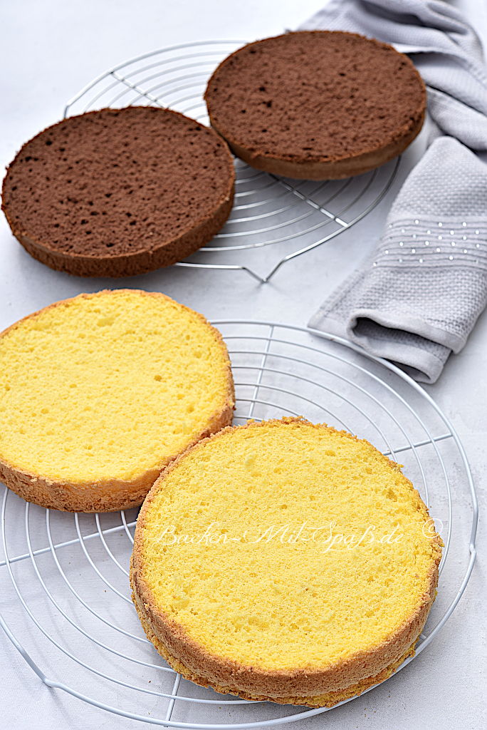 Pudding-Biskuit (glutenfrei)