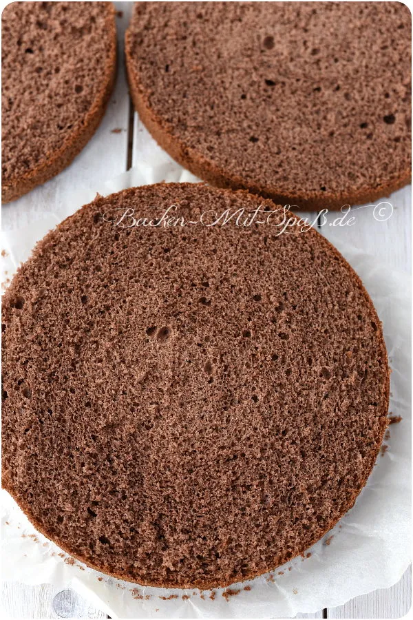 Dunkler Genueser Biskuit Dunkler Genueser Biskuit