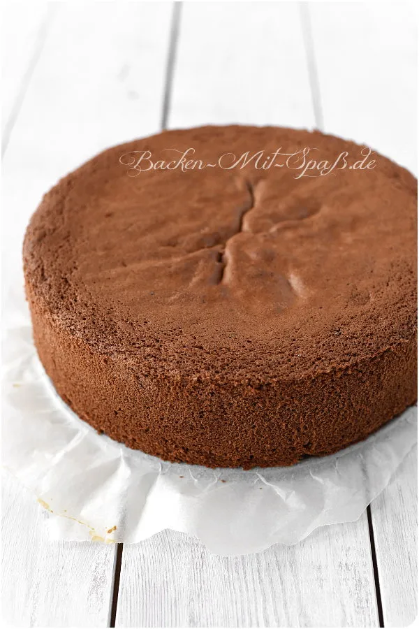 Dunkler Genueser Biskuit Dunkler Genueser Biskuit